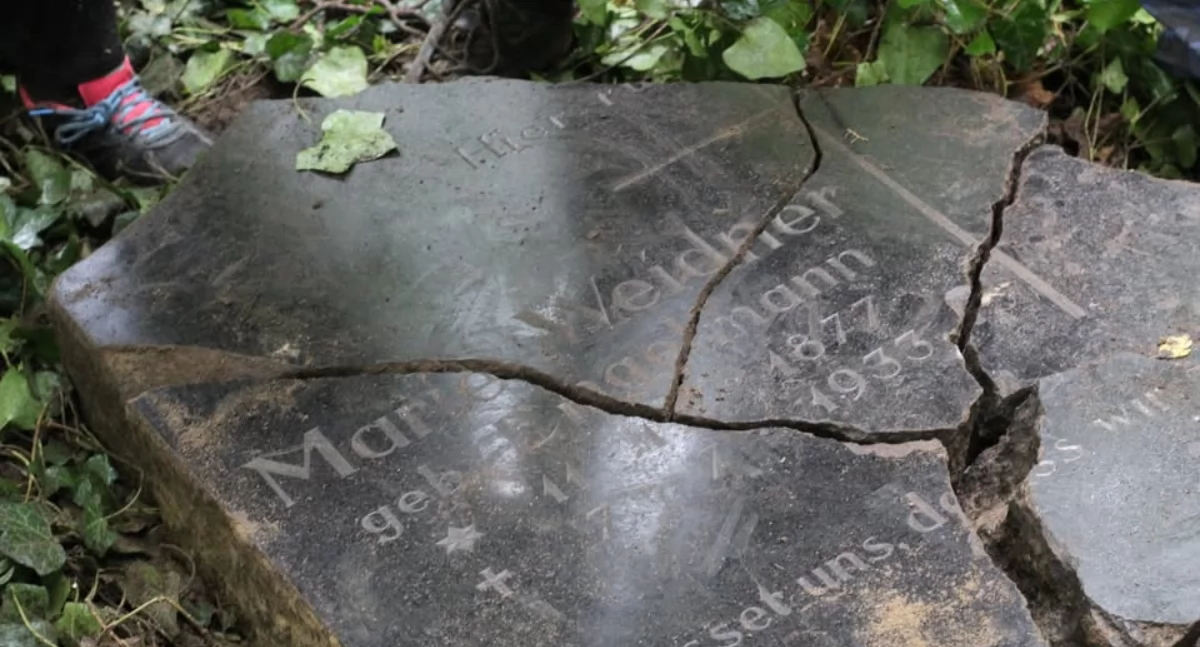 Inicjatywy społeczne, Denkmal Pomorze zaprasza niedzielę Chlebowa - zdjęcie, fotografia
