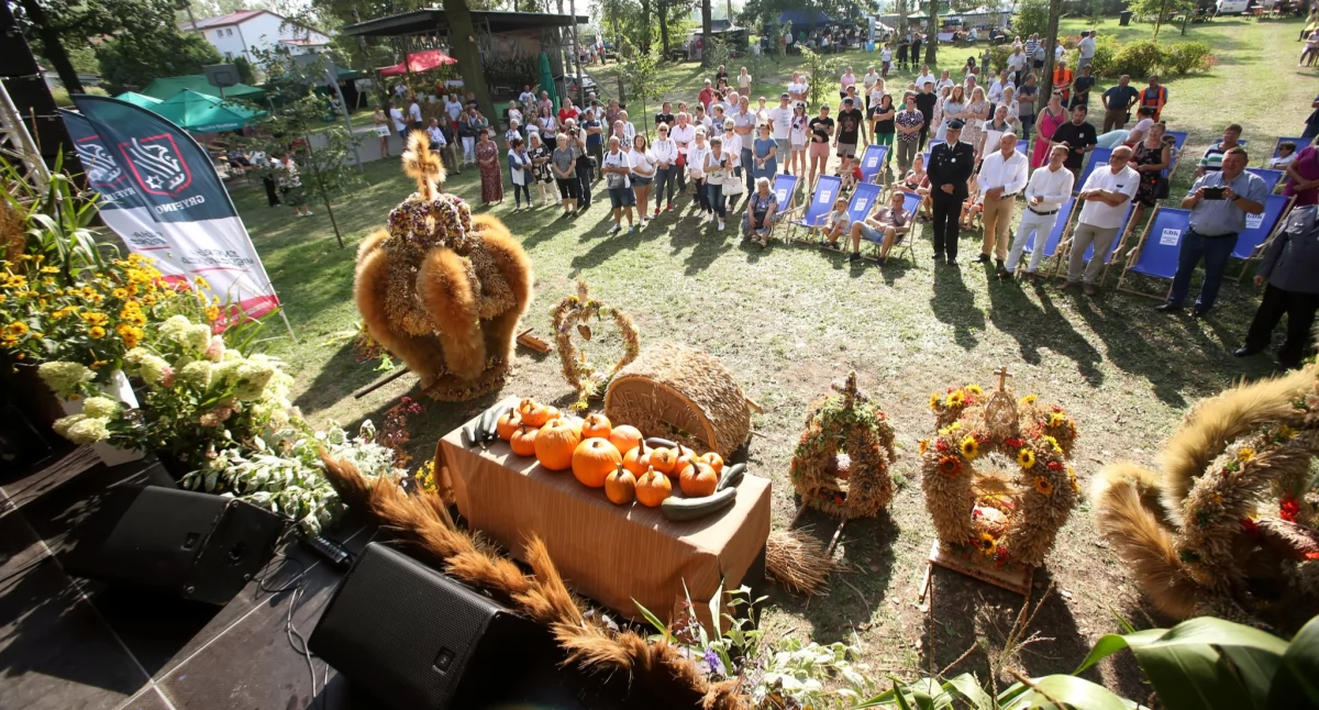 Imprezy, Szukają wystawców Dożynki Gminne Chwarstnicy - zdjęcie, fotografia