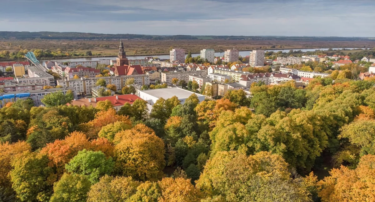 Wystawy Warsztaty, Został powołany zespół Rozwoju Infrastruktury Kulturalnej Gryfinie - zdjęcie, fotografia