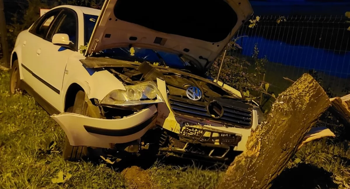 Wypadki drogowe, Ucieczkę przed policją zakończył drzewie - zdjęcie, fotografia