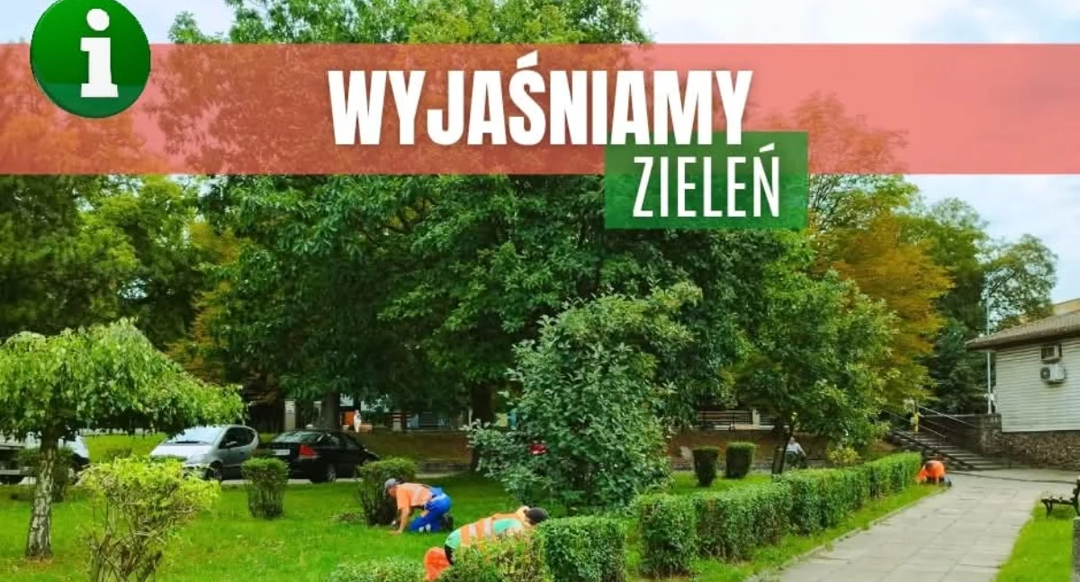Natura Miejsca, Gryfiński odnosi zarzutów - zdjęcie, fotografia