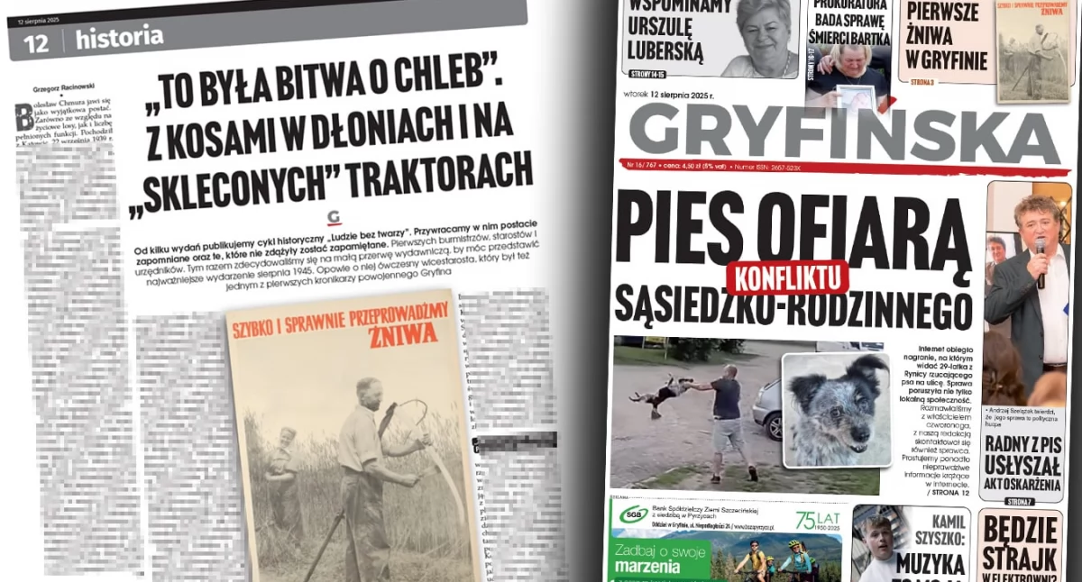 Gazeta Gryfińska, kosami dłoniach skleconych traktorach czyli żniwa - zdjęcie, fotografia