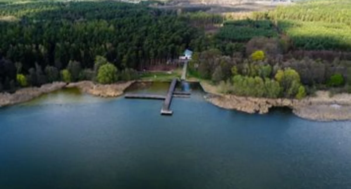 Imprezy, Dziś regionie odbędą wielkie imprezy muzyczne [ROZKŁAD JAZDY] - zdjęcie, fotografia