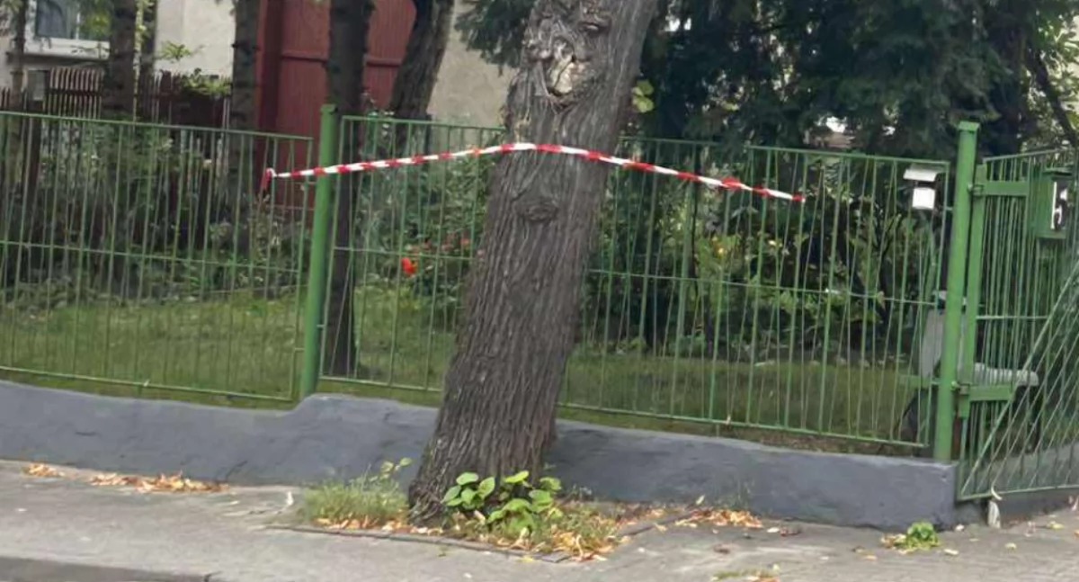 Interwencje, REDAKCJI Niebezpieczne gniazdo chodniku centrum miasta - zdjęcie, fotografia