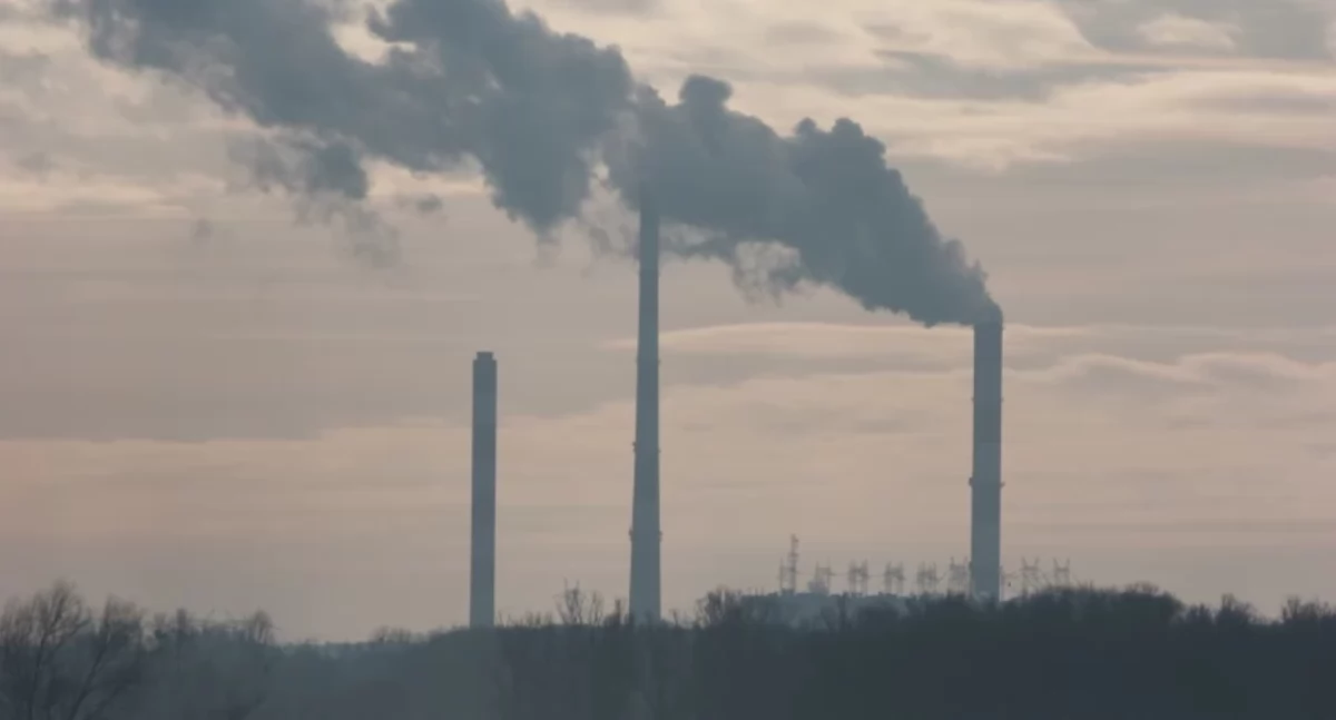 Elektrownia Dolna Odra, Małgorzata Sapkowska pełni obowiązki dyrektora - zdjęcie, fotografia