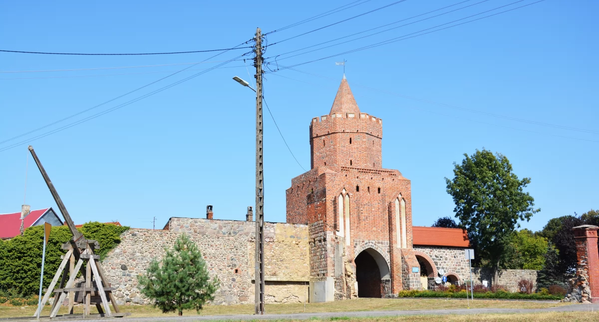 Foto i tekst: gmina Trzcińsko-Zdrój