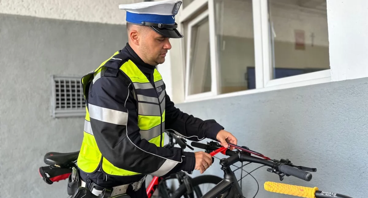 Foto i tekst Gmina Gryfino