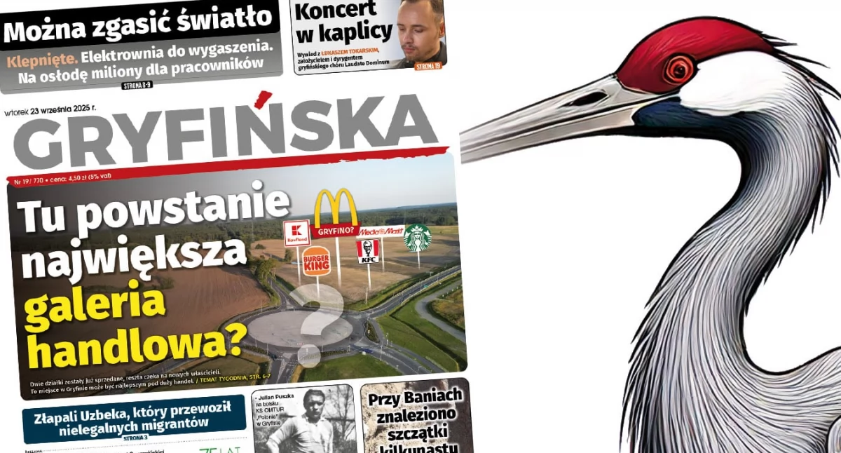 Imprezy, Marwice zapraszają wyjątkowy Dzień Żurawia! - zdjęcie, fotografia