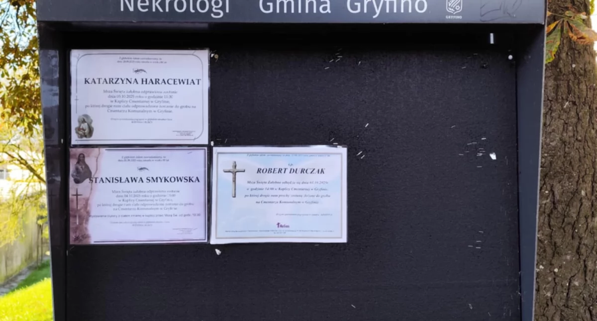 Odeszli, żyje letni gryfinianin - zdjęcie, fotografia