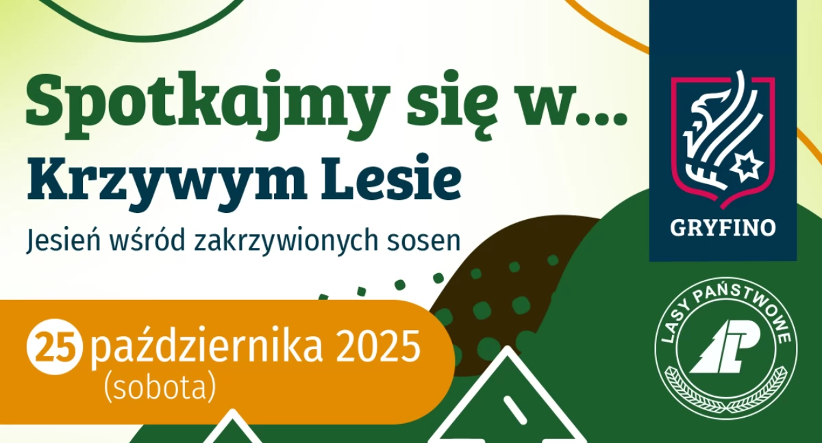 Natura Miejsca, Spotkajmy Krzywym Lesie! - zdjęcie, fotografia