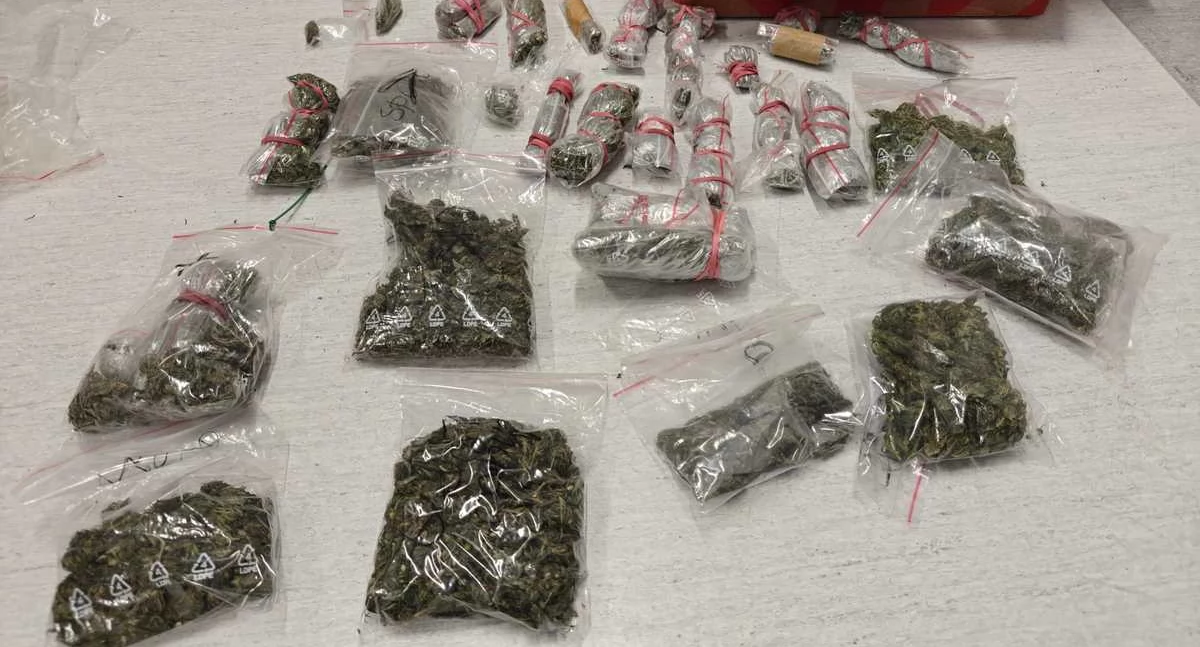 Policja - kryminalne, Policjanci zatrzymali mężczyznę ponad pół kilogramem marihuany - zdjęcie, fotografia