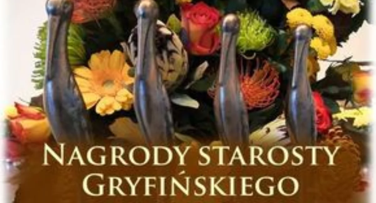 Imprezy, Nagrody Starosty Gryfińskiego promocję Powiatu Zgłoś swojego kandydata - zdjęcie, fotografia