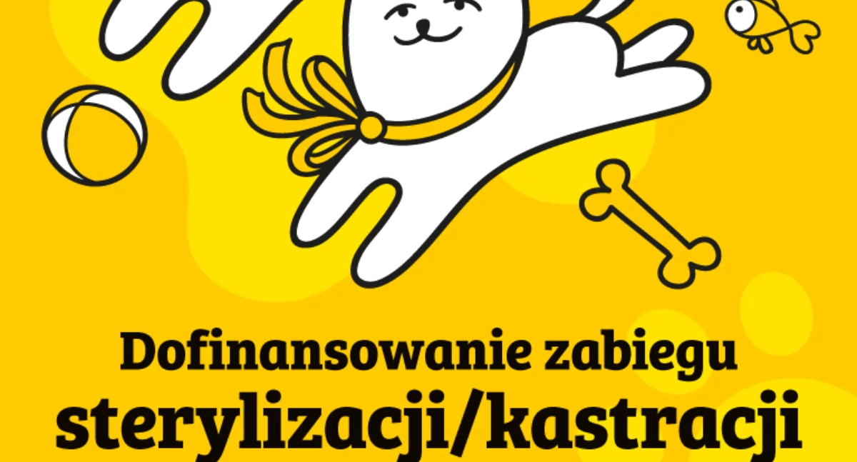 Zwierzęta, Zadbaj swojego pupila rusza dofinansowanie sterylizacji kastracji! - zdjęcie, fotografia