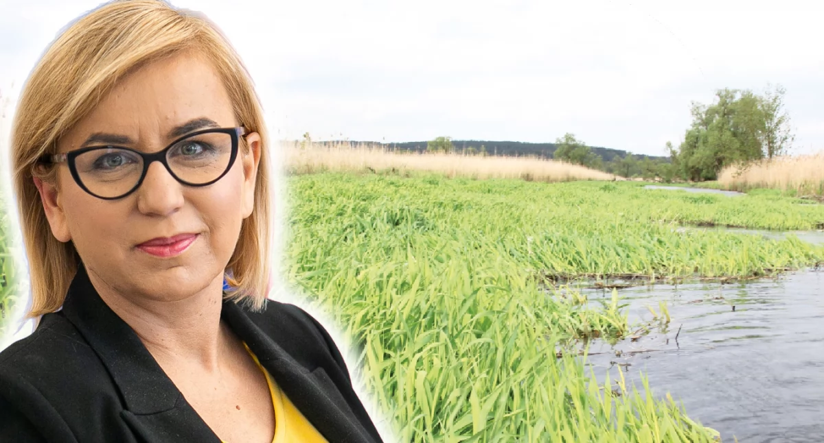 Natura Miejsca, Będzie flilia będzie ustawa nowym zapisem otulinie - zdjęcie, fotografia