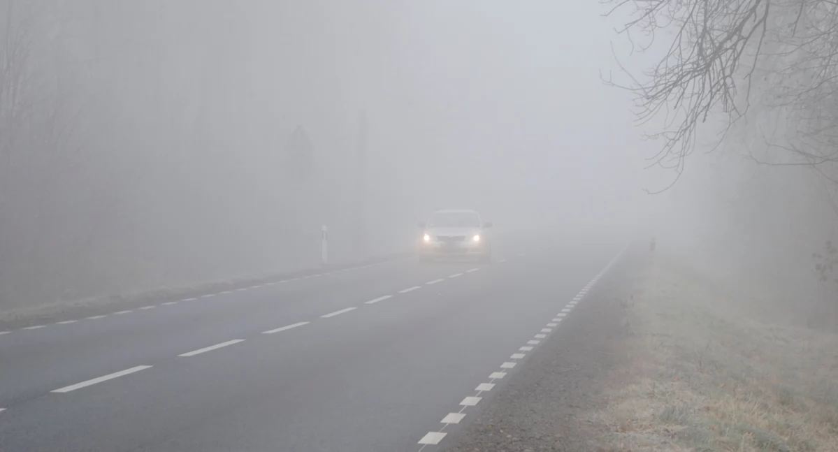 Fotografia poglądowa
