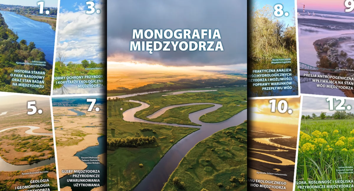Natura Miejsca, stron Międzyodrzu! Monografia pobrania wersji cyfrowej - zdjęcie, fotografia