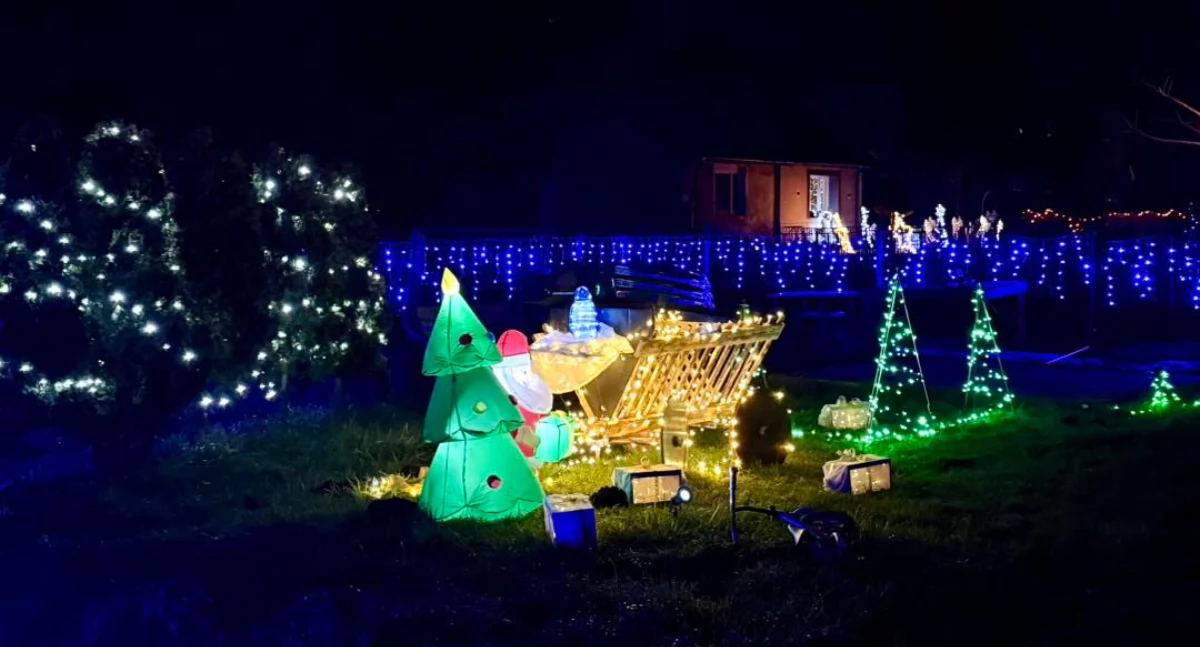 Inicjatywy społeczne, wyglądają świąteczne Bolkowice [GALERIA] - zdjęcie, fotografia