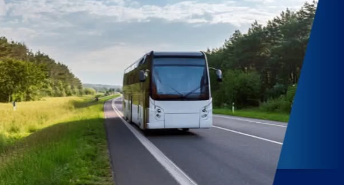 Transport i komunikacja, Gmina organizuje transport autobusowy Szczecina - zdjęcie, fotografia