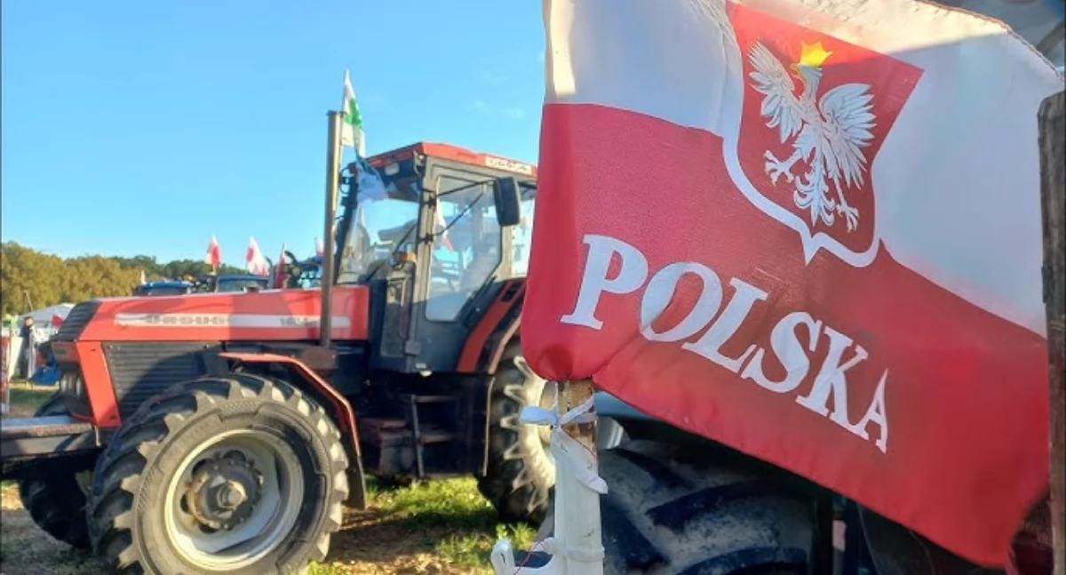 Fotografia poglądowa