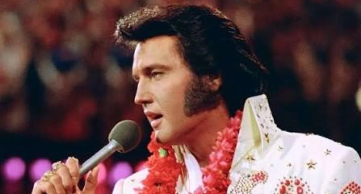 Kino, Elvis Presley Kinie Gryf! - zdjęcie, fotografia