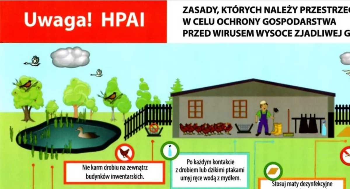 Zwierzęta, powiecie gryfińskim Należy zachować bezpieczeństwo - zdjęcie, fotografia