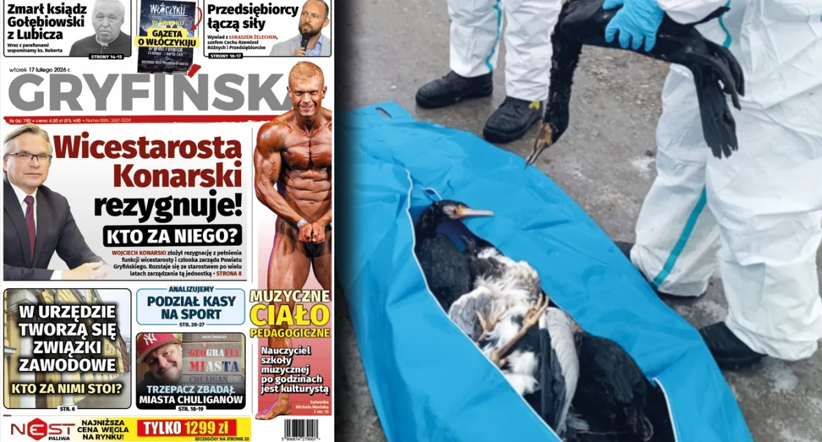 Gazeta Gryfińska, samym Gryfinie padło ponad ptaków - zdjęcie, fotografia