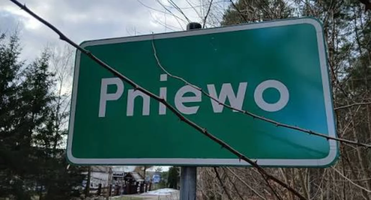 Wypadki drogowe, Pniewie złapano naćpanego kierowcę - zdjęcie, fotografia