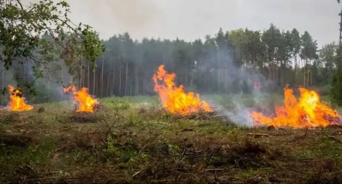 Info, wypalaj traw! dużo bardziej restrykcyjne - zdjęcie, fotografia