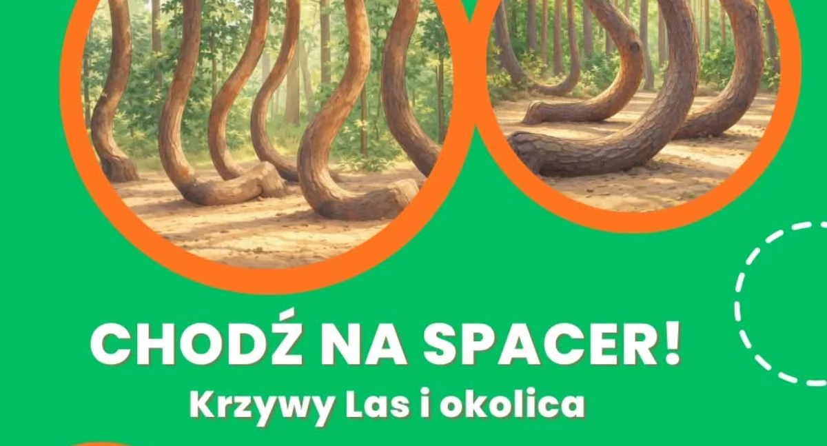 Turystyka Rowery, Chodź spacer! Krzywy okolica - zdjęcie, fotografia