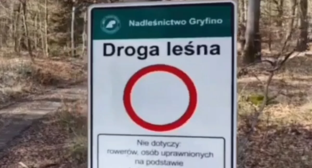 Policja - kryminalne, Wspólne działania policji Strażą Leśna [WIDEO] - zdjęcie, fotografia