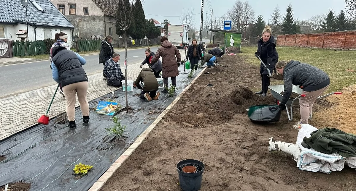 Inicjatywy społeczne, Napisali grant wieś zazieleniła [GALERIA] - zdjęcie, fotografia