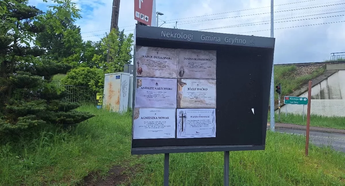Odeszli, Pogrzeb Janiszewskiej odbędzie poniedziałek - zdjęcie, fotografia