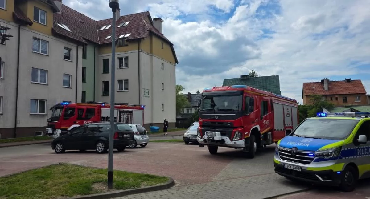 Straż pożarna, Przypalony kotlet Środowa akcja strażaków Gryfinie - zdjęcie, fotografia