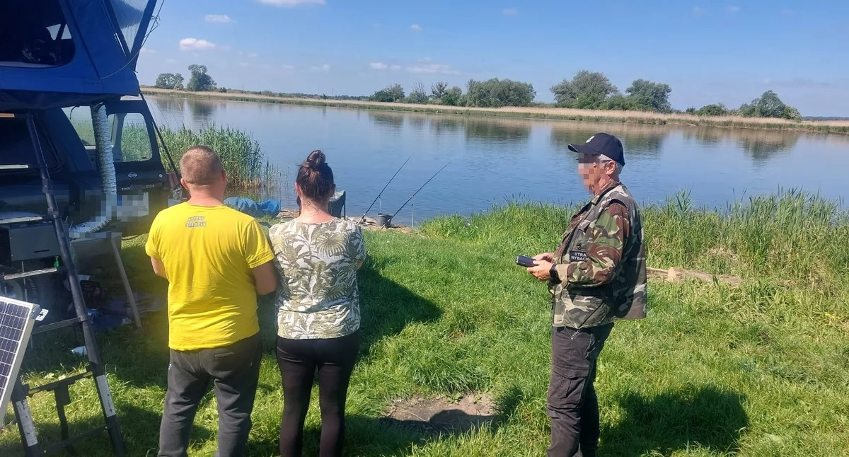 Ryby, Wyłapują osoby które dokonują nielegalnego połowu terenie powiatu - zdjęcie, fotografia