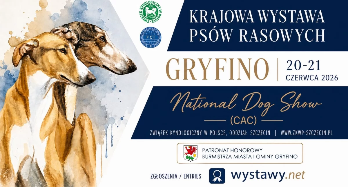 Zwierzęta, czerwcu Gryfinie odbędzie kolejna Krajowa Wystawa Psów Rasowych - zdjęcie, fotografia