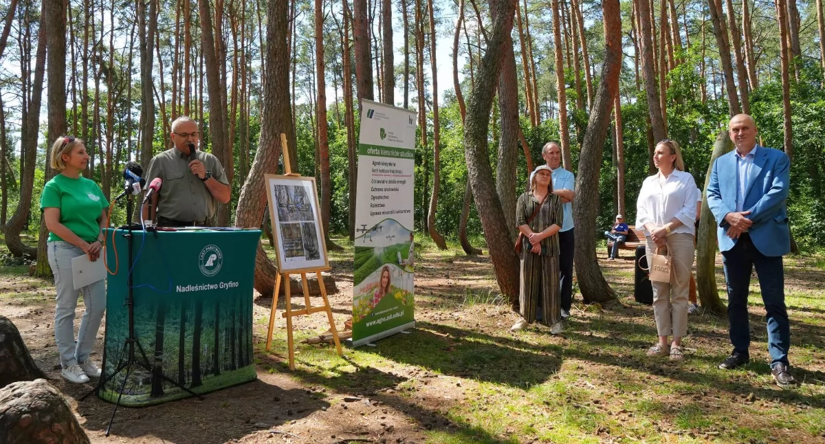 Natura Miejsca, Krzywy Chcą opracować technologię krzywienia drzew - zdjęcie, fotografia