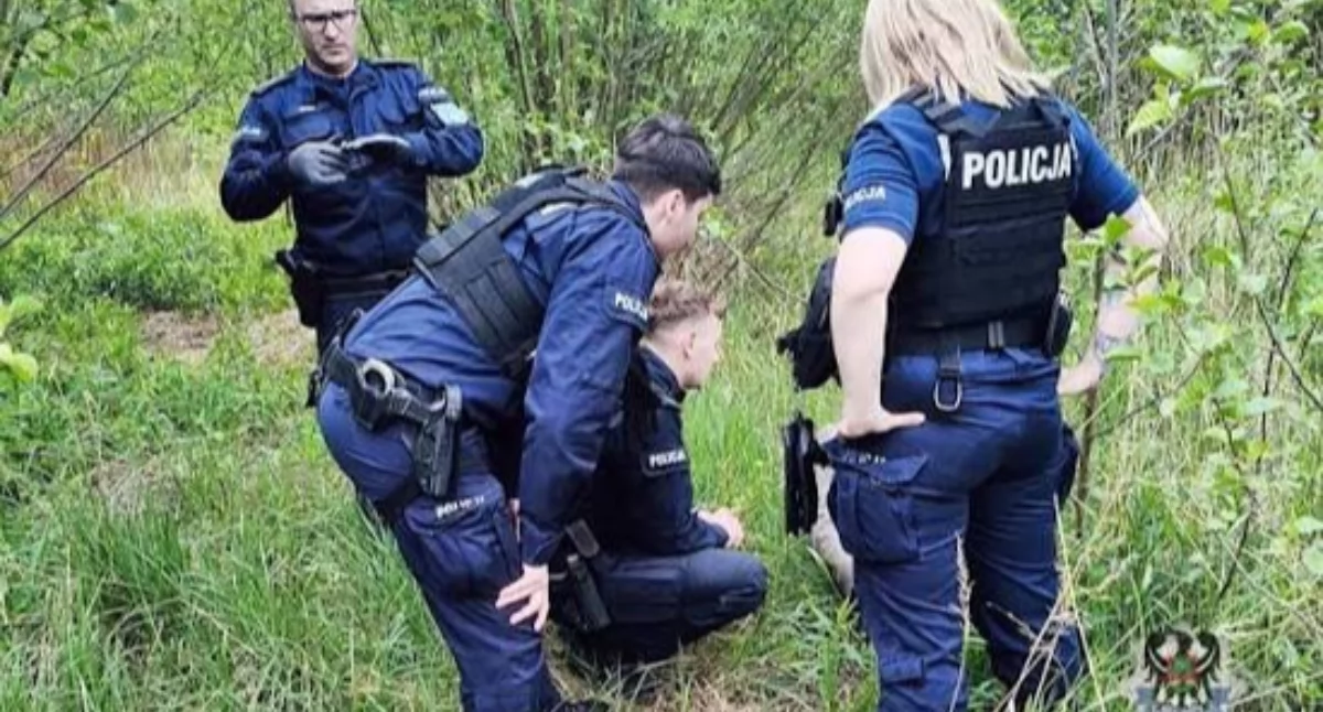 Fotografia poglądowa