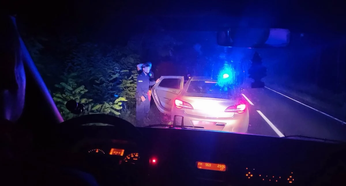 Poszukiwani i zaginieni, Służby prowadziły nocne poszukiwania zaginionej latki - zdjęcie, fotografia