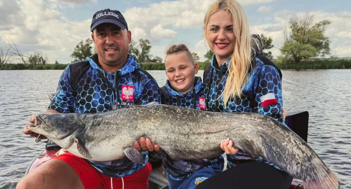 Ryby, Catfish pierwszy lider! - zdjęcie, fotografia