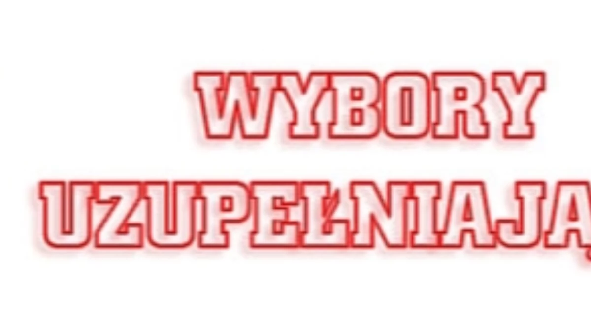 Wybory, września odbędą wybory uzupełniające - zdjęcie, fotografia