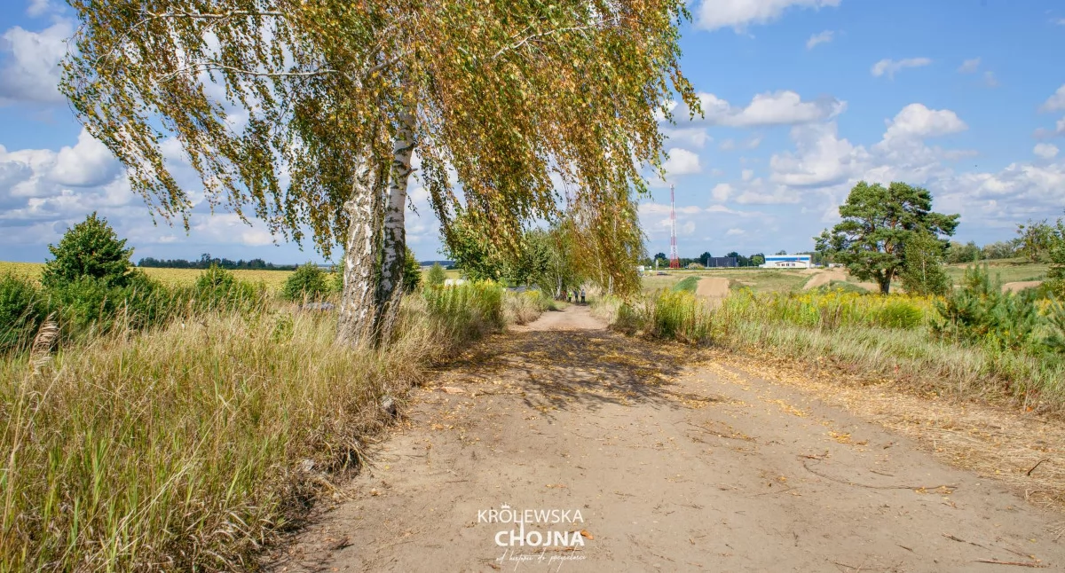 Inwestycje, Rozpoczął kolejny budowie Ścieżki Królewskiej - zdjęcie, fotografia