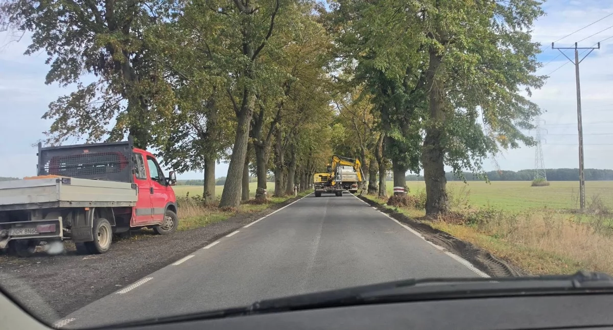 Foto: Moryń24