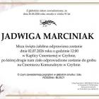 Fotka nr 5 z 12