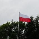 zdjęcie nr 10