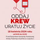 Fotka nr 0 z 1