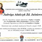 zdjęcie nr 10