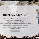 Fotka nr 2 z 6