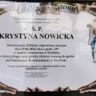 zdjęcie nr 8
