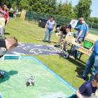 zdjęcie nr 8