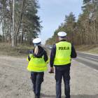 Fotka nr 3 z 4